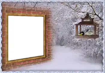 Foto effect van de categorie Winter № 65557