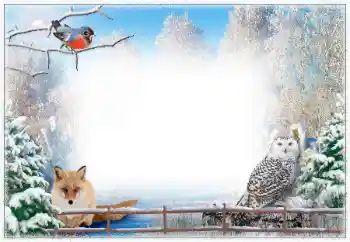 Foto effect van de categorie Winter № 67043