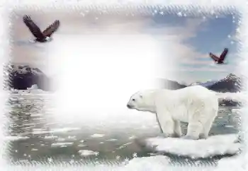 Foto effect van de categorie Winter № 67044