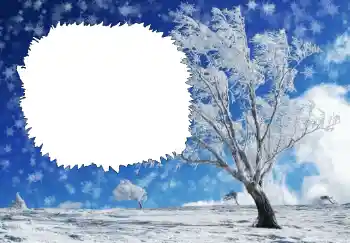 Foto effect van de categorie Winter № 68644