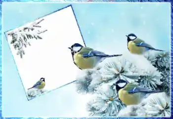 Foto effect van de categorie Winter № 87962
