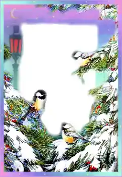 Foto effect van de categorie Winter № 89297