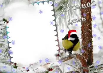 Foto effect van de categorie Winter № 974