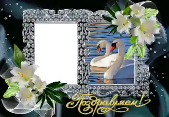 Foto effect van de categorie Huwelijksfotolijsten № 130161. Opschrift op de lijst: Gefeliciteerd! Foto effect van de categorie Huwelijksfotolijsten № 130161. Opschrift op de lijst: Gefeliciteerd!
