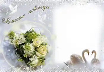 Foto effect van de categorie Huwelijksfotolijsten № 15058. Opschrift op de lijst: Вместе навсегда! Foto effect van de categorie Huwelijksfotolijsten № 15058. Opschrift op de lijst: Вместе навсегда!