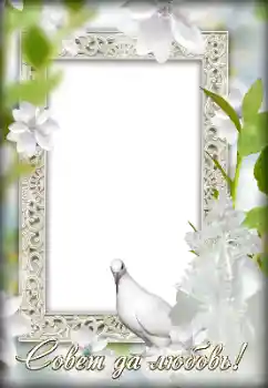 Foto effect van de categorie Huwelijksfotolijsten № 154744. Opschrift op de lijst: Onze bruiloft