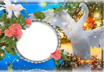 Foto effect van de categorie Huwelijksfotolijsten № 157109