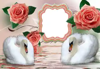 Foto effect van de categorie Huwelijksfotolijsten № 160854