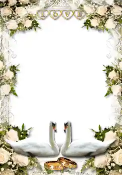 Foto effect van de categorie Huwelijksfotolijsten № 1634 Foto effect van de categorie Huwelijksfotolijsten № 1634
