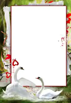 Foto effect van de categorie Huwelijksfotolijsten № 166120 Foto effect van de categorie Huwelijksfotolijsten № 166120