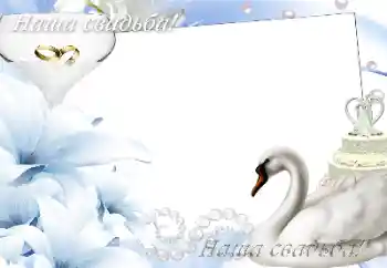 Foto effect van de categorie Huwelijksfotolijsten № 166419. Opschrift op de lijst: Onze bruiloft Foto effect van de categorie Huwelijksfotolijsten № 166419. Opschrift op de lijst: Onze bruiloft