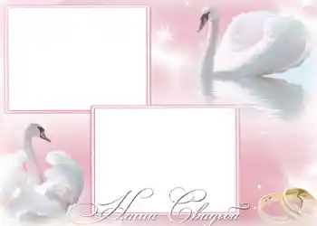 Foto effect van de categorie Huwelijksfotolijsten № 168. Opschrift op de lijst: Onze bruiloft Foto effect van de categorie Huwelijksfotolijsten № 168. Opschrift op de lijst: Onze bruiloft