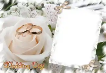 Foto effect van de categorie Huwelijksfotolijsten № 31729. Opschrift op de lijst: Wedding Day Foto effect van de categorie Huwelijksfotolijsten № 31729. Opschrift op de lijst: Wedding Day