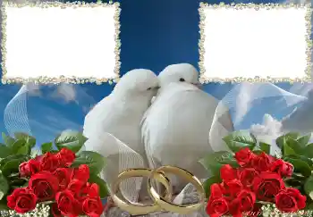Foto effect van de categorie Huwelijksfotolijsten № 3951