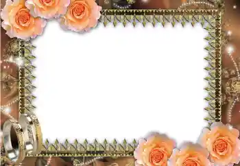 Foto effect van de categorie Huwelijksfotolijsten № 45669 Foto effect van de categorie Huwelijksfotolijsten № 45669