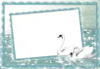 Foto effect van de categorie Huwelijksfotolijsten № 70895