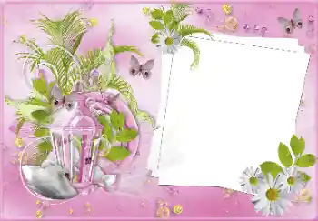 Foto effect van de categorie Huwelijksfotolijsten № 81487
