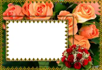 Foto effect van de categorie Fotolijsten voor vrouwen № 100013