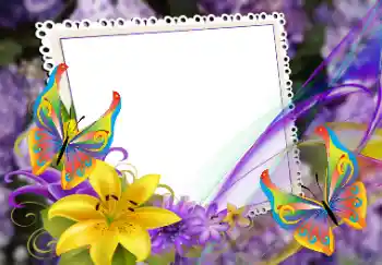 Foto effect van de categorie Fotolijsten voor vrouwen № 101319