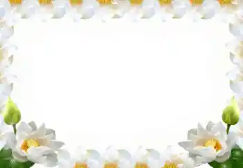 Foto effect van de categorie Fotolijsten voor vrouwen № 102569