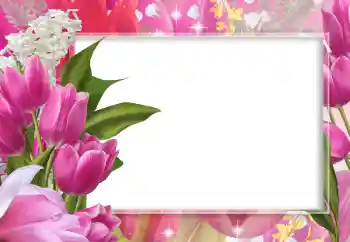 Foto effect van de categorie Fotolijsten voor vrouwen № 102643