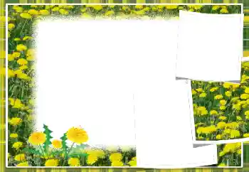 Foto effect van de categorie Fotolijsten voor vrouwen № 103949