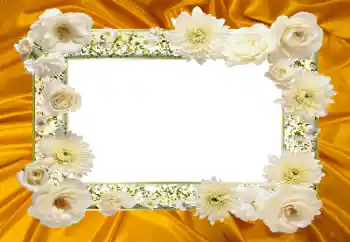 Foto effect van de categorie Fotolijsten voor vrouwen № 104047