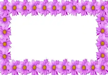 Foto effect van de categorie Fotolijsten voor vrouwen № 105414