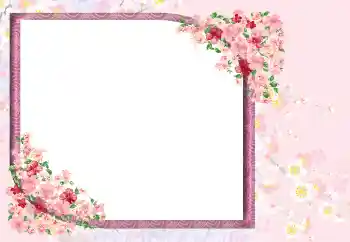 Foto effect van de categorie Fotolijsten voor vrouwen № 105467