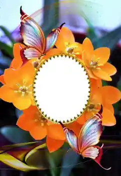 Foto effect van de categorie Fotolijsten voor vrouwen № 105575