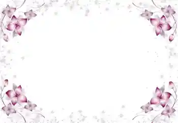 Foto effect van de categorie Fotolijsten voor vrouwen № 105650