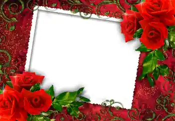 Foto effect van de categorie Fotolijsten voor vrouwen № 112252 Foto effect van de categorie Fotolijsten voor vrouwen № 112252