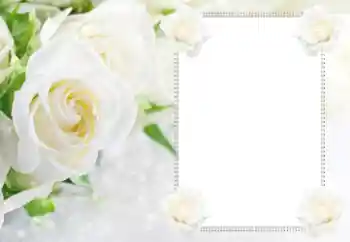 Foto effect van de categorie Fotolijsten voor vrouwen № 112529
