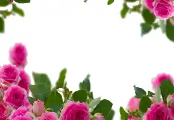 Foto effect van de categorie Fotolijsten voor vrouwen № 114237