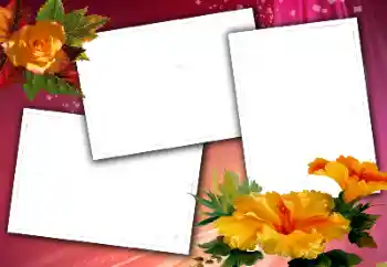 Foto effect van de categorie Fotolijsten voor vrouwen № 114406 Foto effect van de categorie Fotolijsten voor vrouwen № 114406