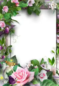 Foto effect van de categorie Fotolijsten voor vrouwen № 120003