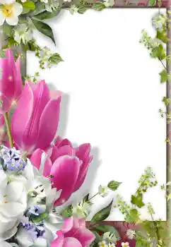 Foto effect van de categorie Fotolijsten voor vrouwen № 122154
