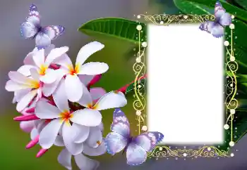 Foto effect van de categorie Fotolijsten voor vrouwen № 123254