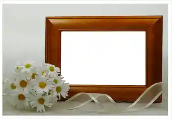 Foto effect van de categorie Fotolijsten voor vrouwen № 124334