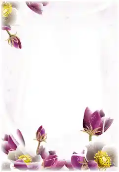 Foto effect van de categorie Fotolijsten voor vrouwen № 124368