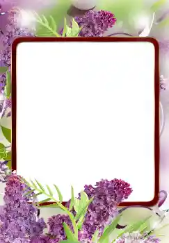 Foto effect van de categorie Fotolijsten voor vrouwen № 124572