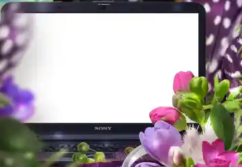 Foto effect van de categorie Fotolijsten voor vrouwen № 125847