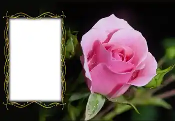 Foto effect van de categorie Fotolijsten voor vrouwen № 126936 Foto effect van de categorie Fotolijsten voor vrouwen № 126936