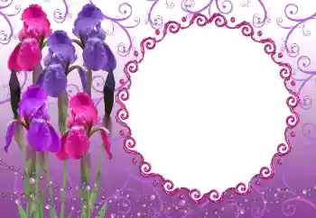 Foto effect van de categorie Fotolijsten voor vrouwen № 12894