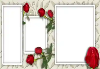 Foto effect van de categorie Fotolijsten voor vrouwen № 12947