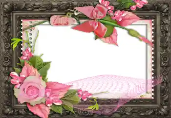 Foto effect van de categorie Fotolijsten voor vrouwen № 130791