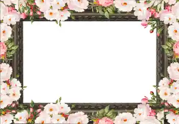 Foto effect van de categorie Fotolijsten voor vrouwen № 130792