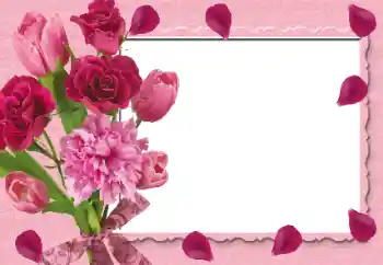 Foto effect van de categorie Fotolijsten voor vrouwen № 131233