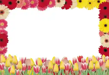 Foto effect van de categorie Fotolijsten voor vrouwen № 131256