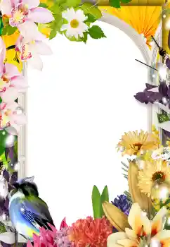 Foto effect van de categorie Fotolijsten voor vrouwen № 133075